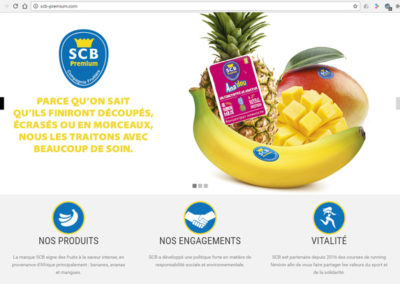 Site web SCB-Premium